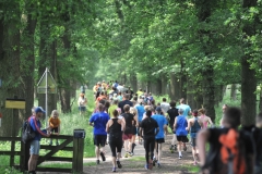 35227620_244115026141539_2197697231644000256_o